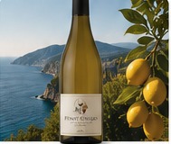 Pinot Grigio delle Venezie